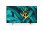 Philips Smart Hotel-TV MediaSuite 55HFL5214U/12